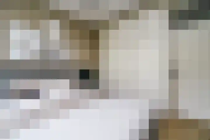 Vegelinsoord 116 Rotterdam thumbnail 17