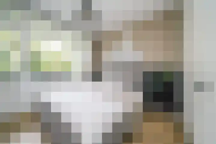 Vegelinsoord 116 Rotterdam thumbnail 19