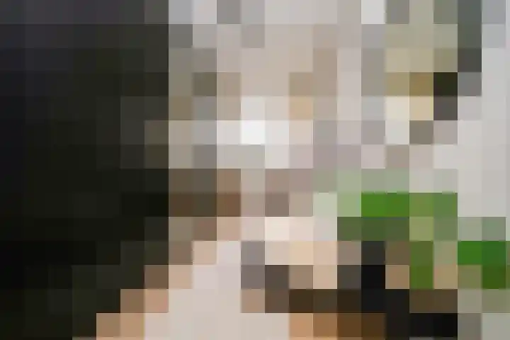Vegelinsoord 116 Rotterdam thumbnail 20