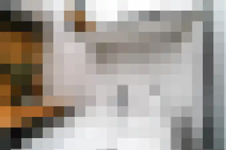 Vegelinsoord 116 Rotterdam thumbnail 21