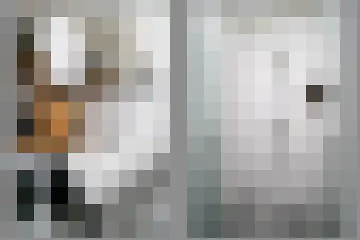 Vegelinsoord 116 Rotterdam thumbnail 22