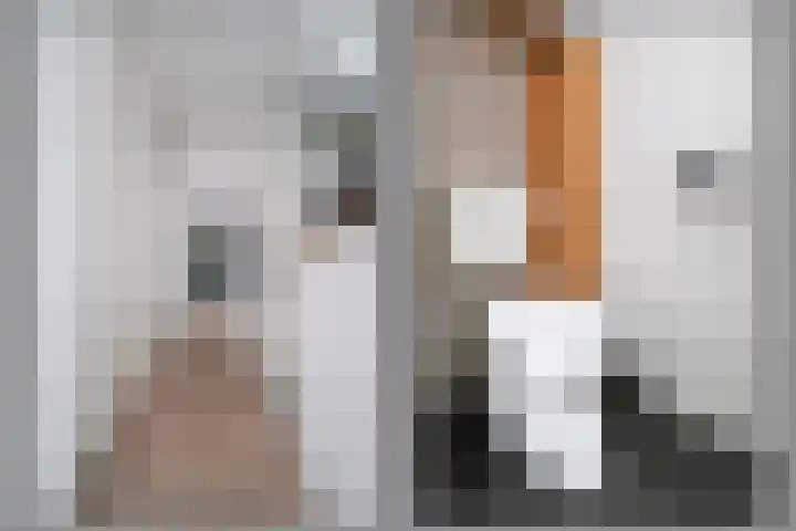 Vegelinsoord 116 Rotterdam thumbnail 23
