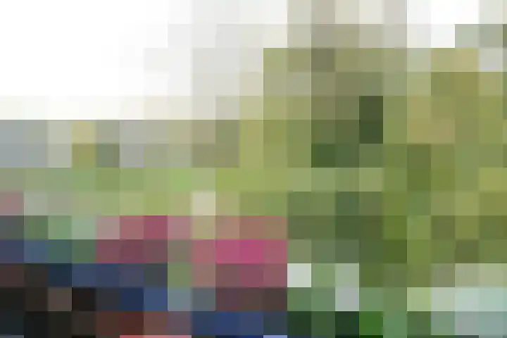 Vegelinsoord 116 Rotterdam thumbnail 25