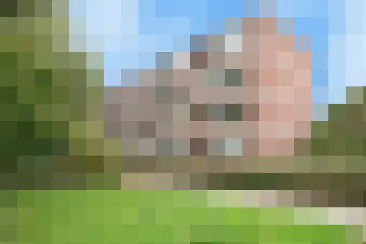 Vegelinsoord 116 Rotterdam thumbnail 5