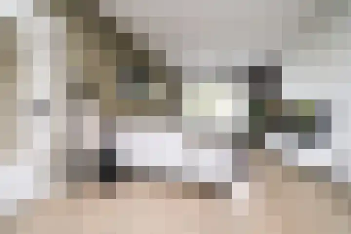 Vegelinsoord 116 Rotterdam thumbnail 6