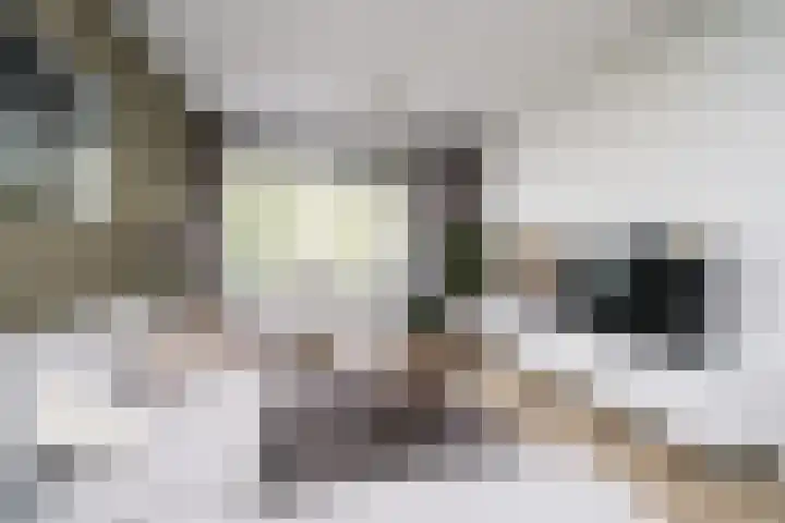 Vegelinsoord 116 Rotterdam thumbnail 7