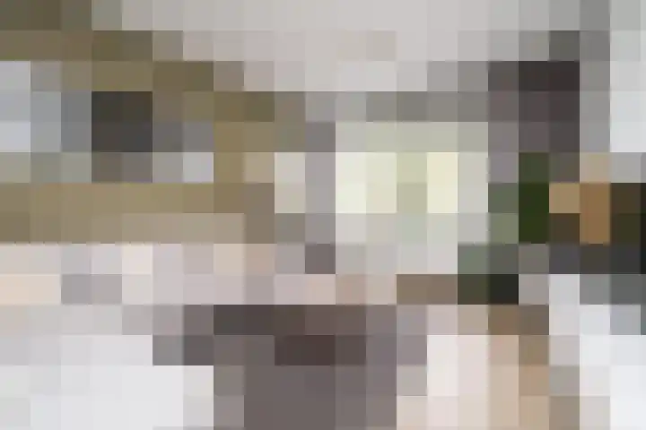 Vegelinsoord 116 Rotterdam thumbnail 8