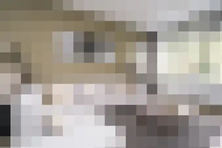 Vegelinsoord 116 Rotterdam thumbnail 9