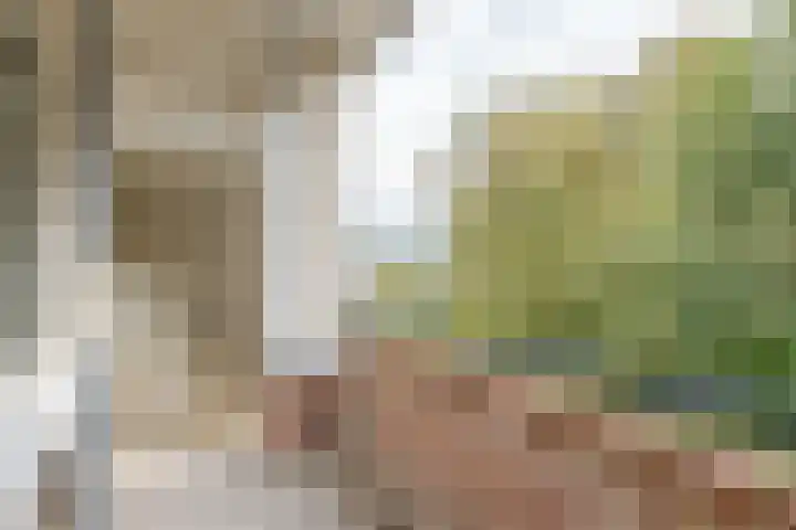Vegelinsoord 124 Rotterdam thumbnail 15
