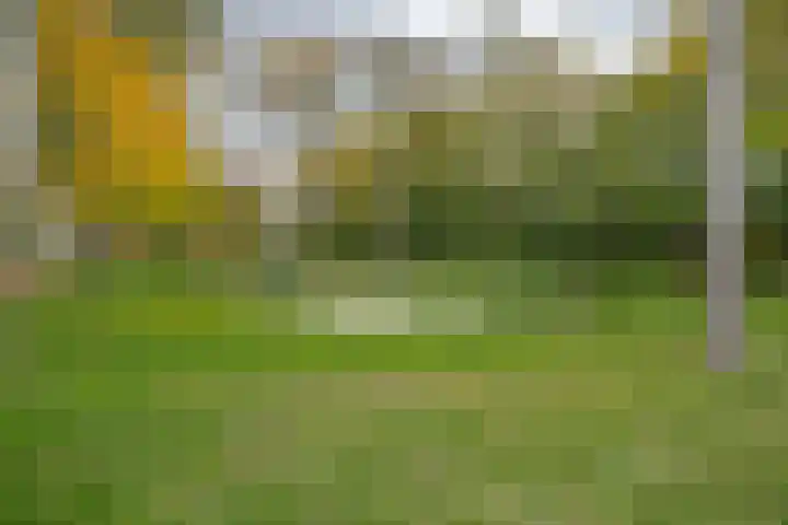Vegelinsoord 124 Rotterdam thumbnail 21