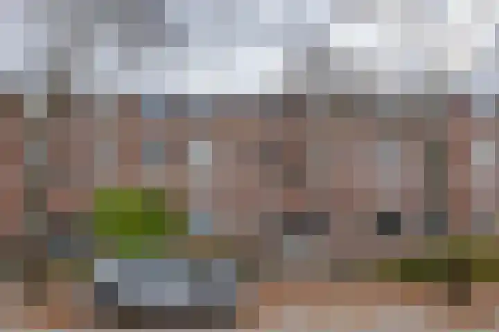 Vegelinsoord 124 Rotterdam thumbnail 6