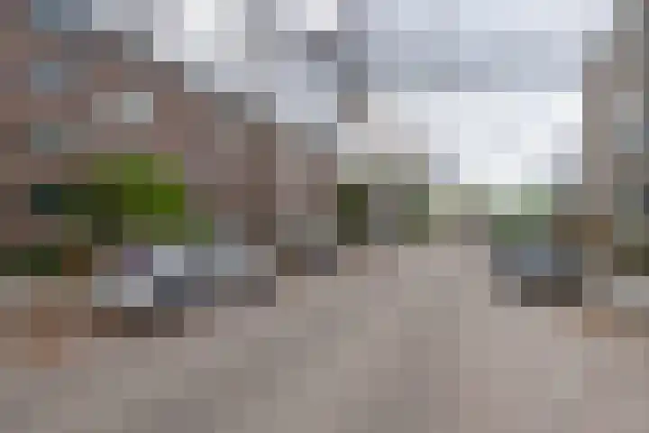 Vegelinsoord 124 Rotterdam thumbnail 7