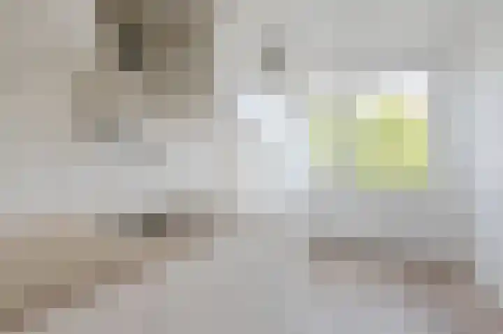 Vegelinsoord 130 Rotterdam thumbnail 11