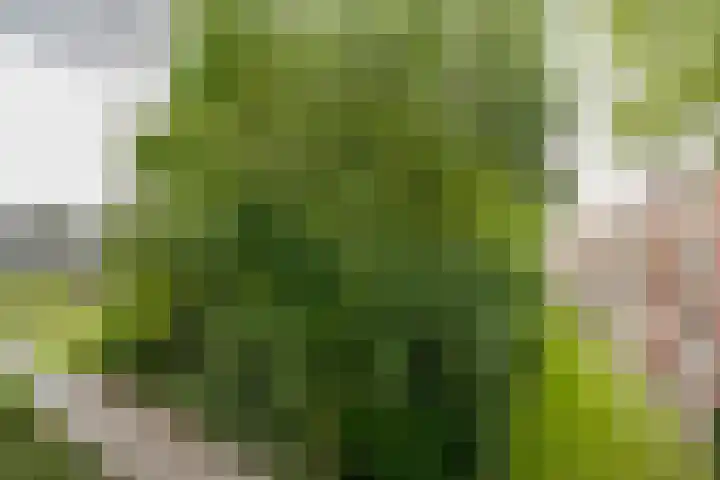 Vegelinsoord 130 Rotterdam thumbnail 20