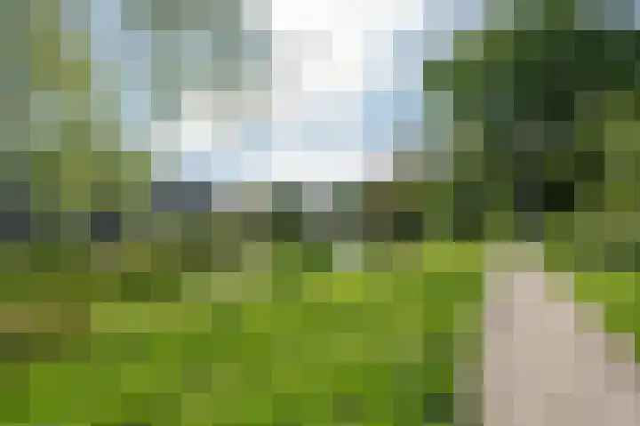 Vegelinsoord 130 Rotterdam thumbnail 23