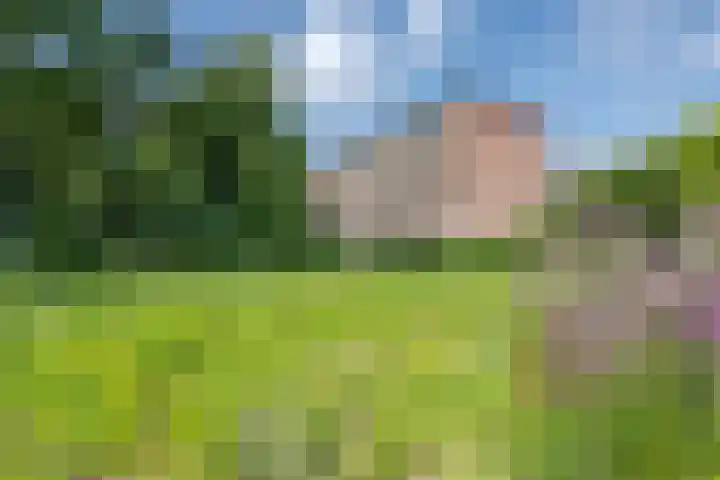 Vegelinsoord 130 Rotterdam thumbnail 24