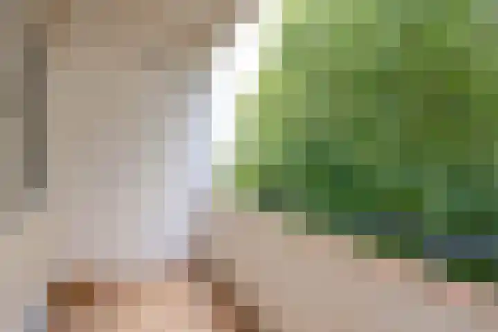 Vegelinsoord 130 Rotterdam thumbnail 5