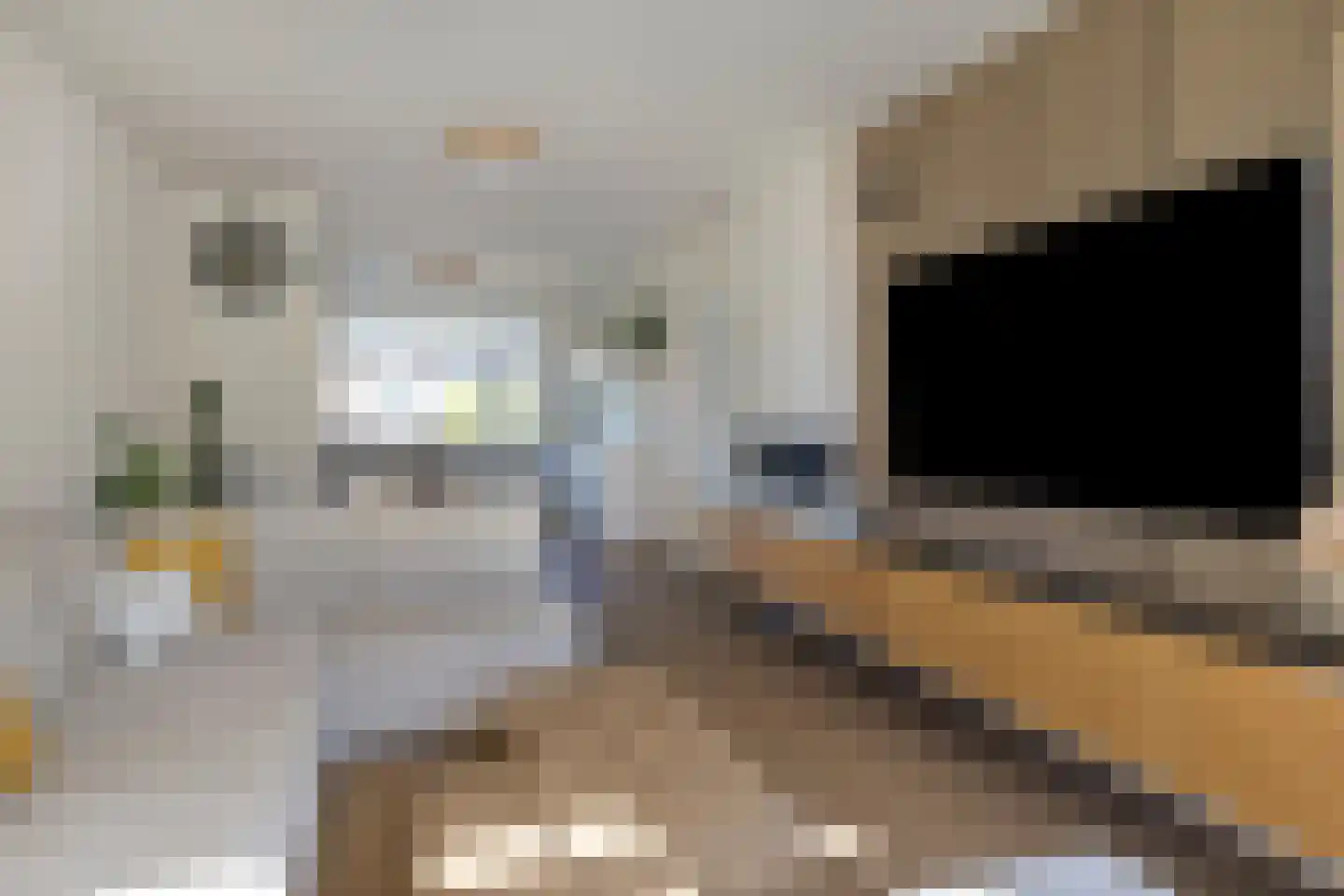 Vegelinsoord 132 Rotterdam thumbnail 10