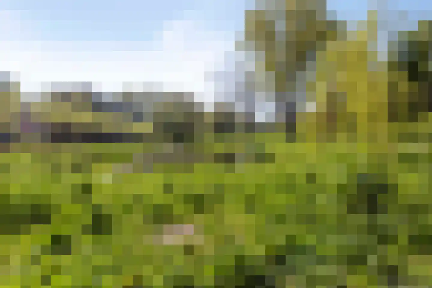 Vegelinsoord 132 Rotterdam thumbnail 37