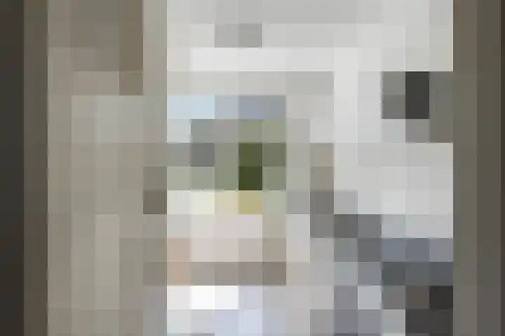 Vegelinsoord 162 Rotterdam thumbnail 15