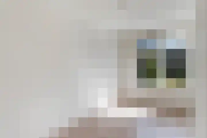 Vegelinsoord 162 Rotterdam thumbnail 20