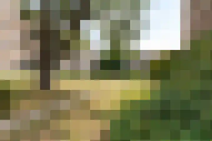 Vegelinsoord 162 Rotterdam thumbnail 32