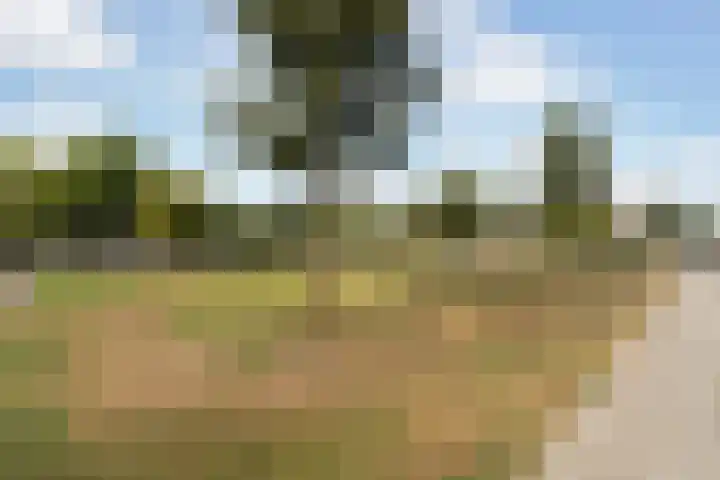 Vegelinsoord 162 Rotterdam thumbnail 34