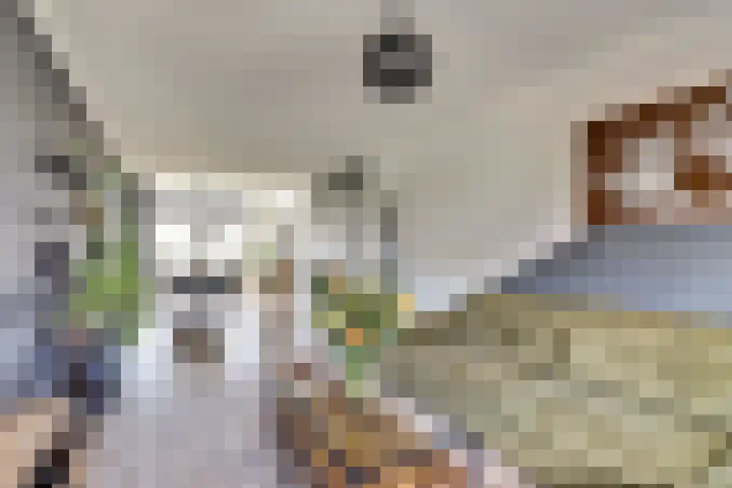 Vegelinsoord 22 Rotterdam thumbnail 7