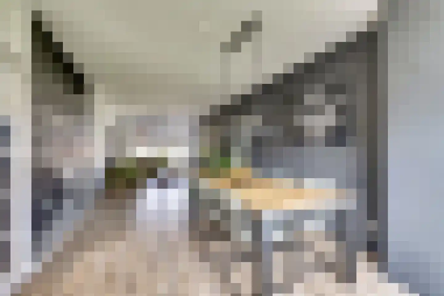 Vegelinsoord 22 Rotterdam thumbnail 8