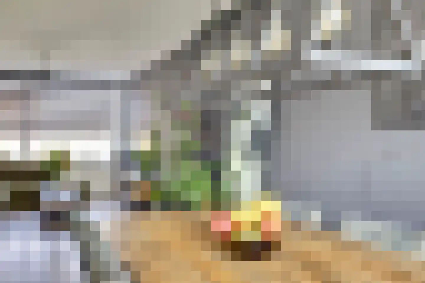 Vegelinsoord 22 Rotterdam thumbnail 9