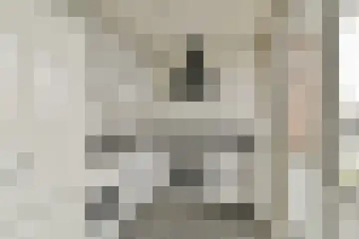 Vegelinsoord 29 Rotterdam thumbnail 10