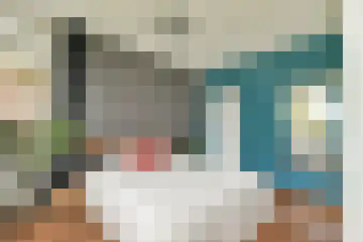 Vegelinsoord 29 Rotterdam thumbnail 15