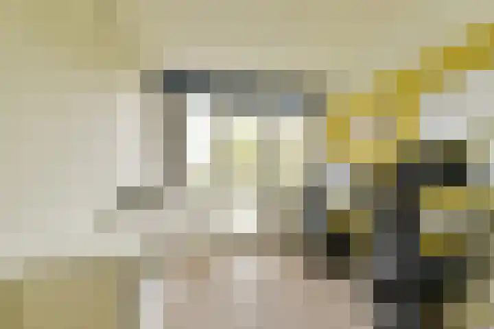 Vegelinsoord 29 Rotterdam thumbnail 16