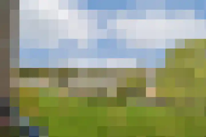 Vegelinsoord 29 Rotterdam thumbnail 18