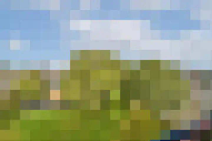 Vegelinsoord 29 Rotterdam thumbnail 19