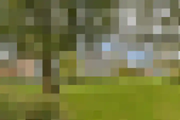 Vegelinsoord 29 Rotterdam thumbnail 23