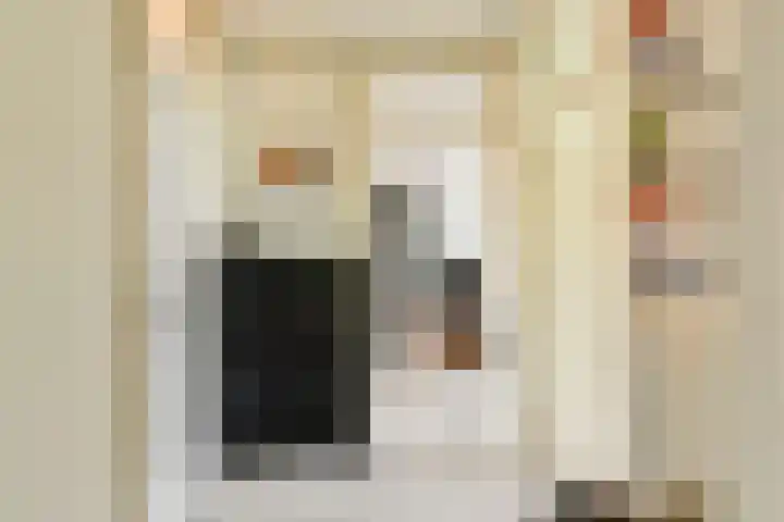 Vegelinsoord 29 Rotterdam thumbnail 6
