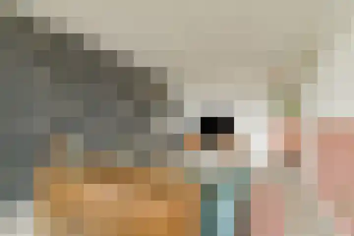 Vegelinsoord 29 Rotterdam thumbnail 7