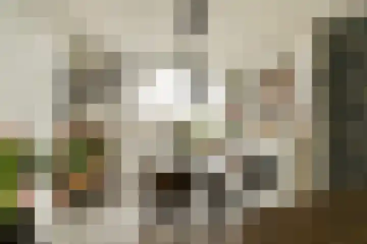 Vegelinsoord 29 Rotterdam thumbnail 9