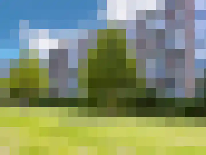 Vegelinsoord 53 Rotterdam thumbnail 23