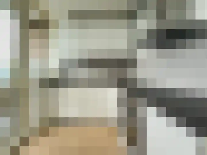 Vegelinsoord 53 Rotterdam thumbnail 4