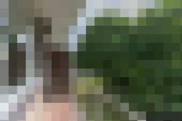 Vegelinsoord 62 Rotterdam thumbnail 25