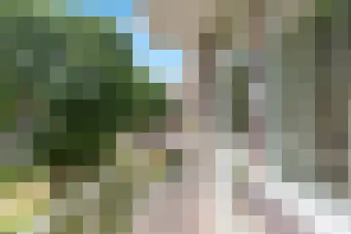 Vegelinsoord 62 Rotterdam thumbnail 26