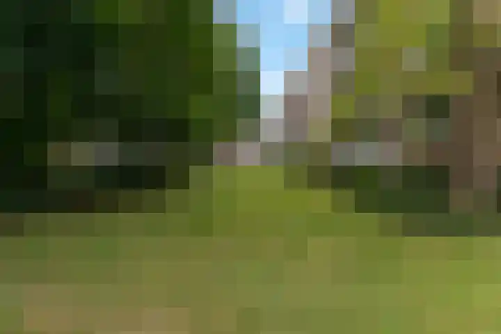 Vegelinsoord 62 Rotterdam thumbnail 27