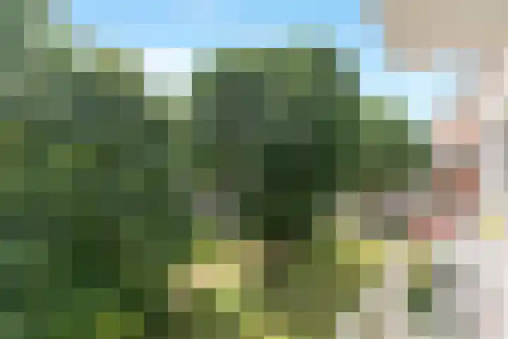 Vegelinsoord 62 Rotterdam thumbnail 5