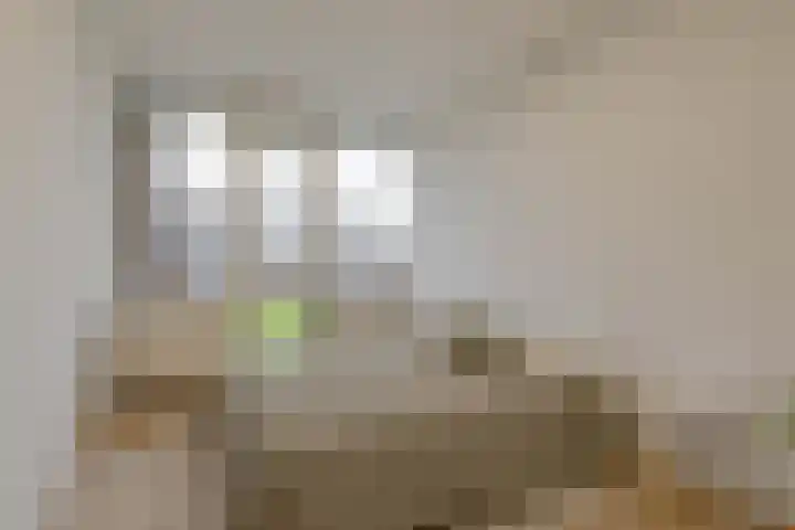 Vegelinsoord 71 Rotterdam thumbnail 18