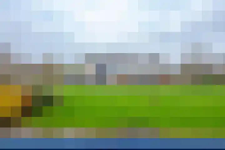 Vegelinsoord 71 Rotterdam thumbnail 20