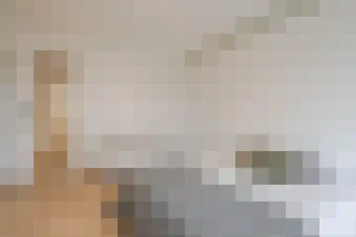 Vegelinsoord 71 Rotterdam thumbnail 26
