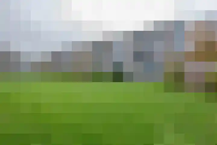 Vegelinsoord 71 Rotterdam thumbnail 28