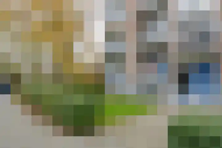 Vegelinsoord 71 Rotterdam thumbnail 7